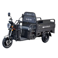 Triciclu Electric Cargo Balaur TRCC1000