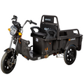 Triciclu Electric Cargo Praslea TRCC800